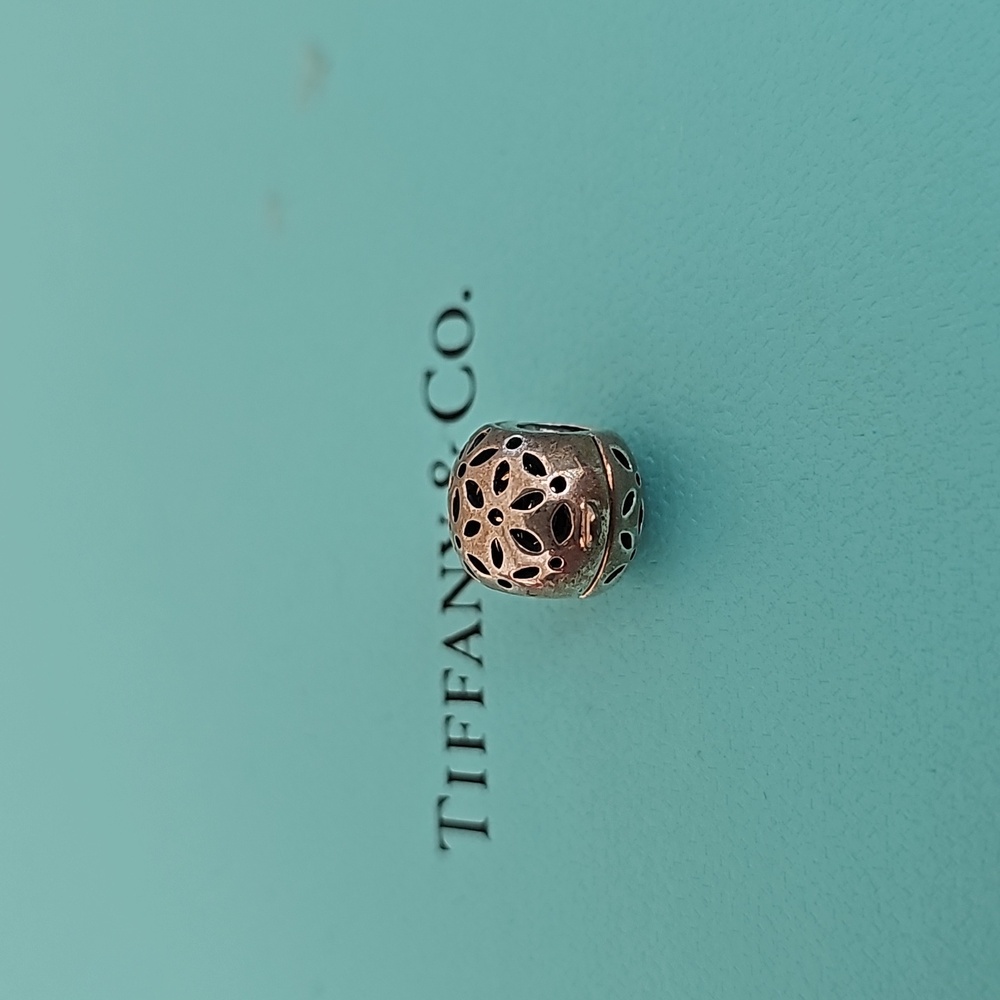 Chamilia Clasp Charm